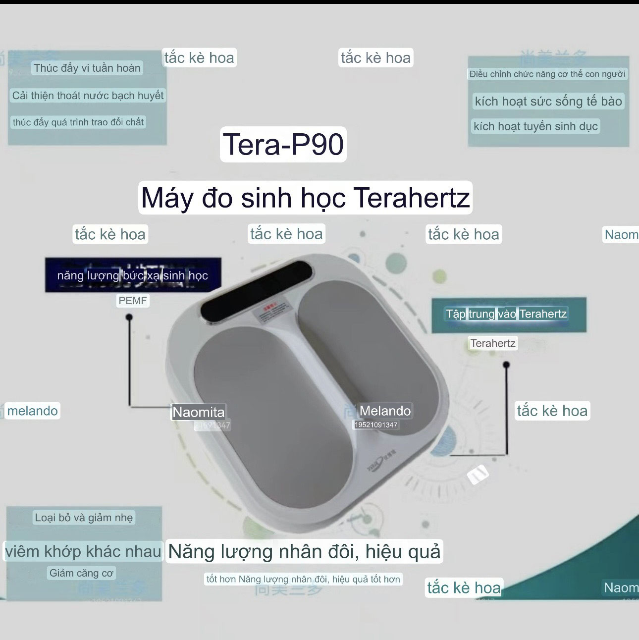 Thiết bị trị liệu từ tính OlyLife THz Tera-P90 Terahertz and PEMF Frequency Device from USA