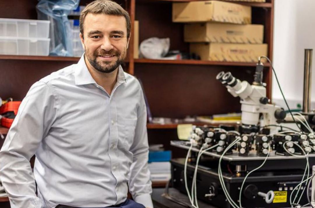 Mỹ phát triển máy tính mô phỏng não người: Học như người thật, ít tốn năng lượng hơn AI