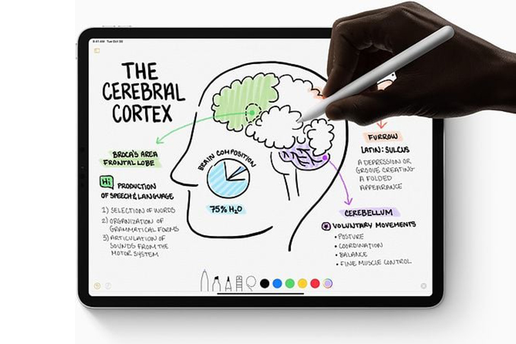 3._Bút_cảm_ứng_Apple_Pencil__Gen_2__MU8F2ZPA_-_longbinh.com.vn