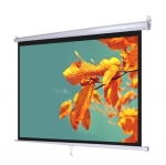 MÀN_CHIẾU_TREO_TƯỜNG_WALL_DA-LITE_-_70_inch_x_70_inch_-_longbinh.com.vn