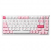 Keyboard_AKKO_Monsgeek_MG75_Prunus_Lannesiana_–_Cream_Blue_Switch_-_longngbinh.com.vn