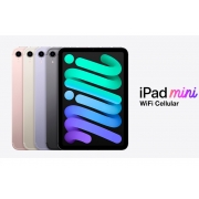 may-tinh-bang-Apple-iPad-mini-6-WiFi-Cellular-chinh-hang-longbinh.com.vn00